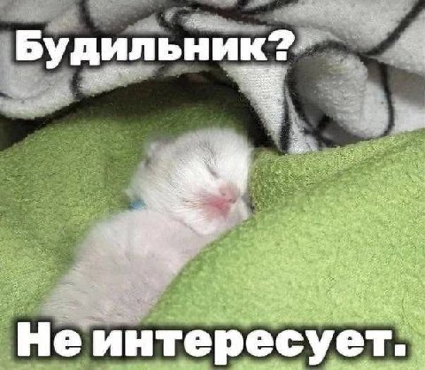 ильник? Буд Не интересует.