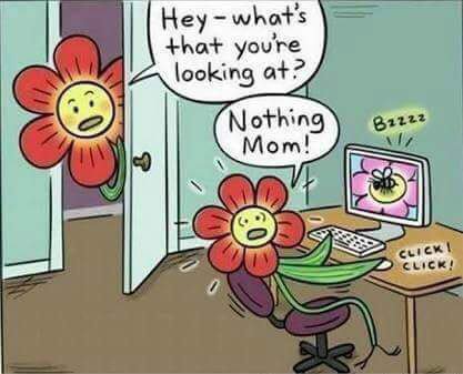 Неу- what's +hat youre looking at Nothing Мот! и AS