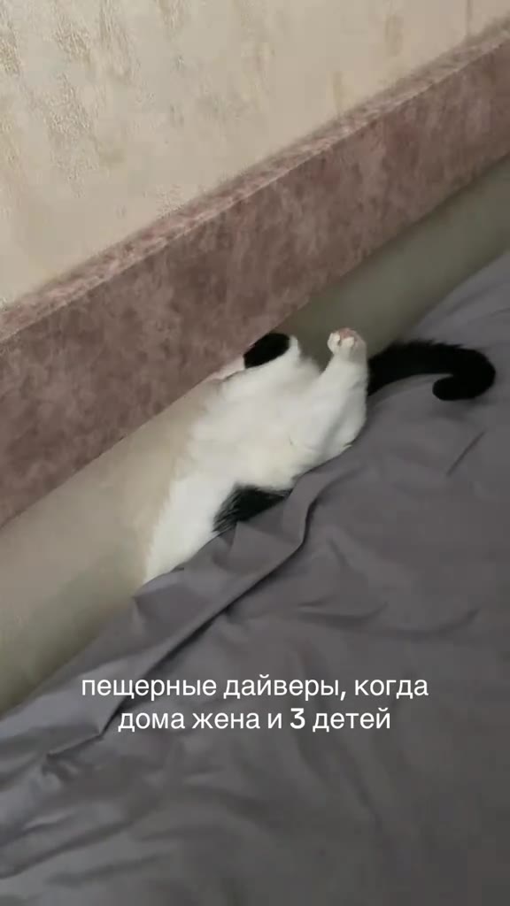 ‘пещерные дайверы, когда дома жена и $ детей
