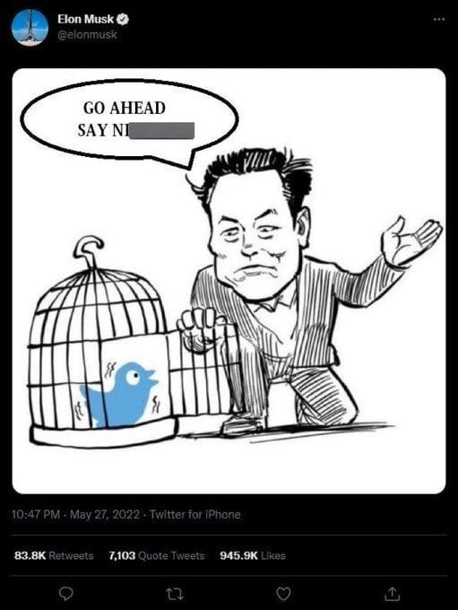 Elon Musk SAY