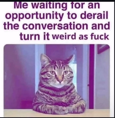 waiting for opportunity to derail the conversation and turn it weird as fuck
