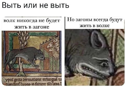 Выть или не выть волк не будет Но загоны всегда будут жить в загоне жить в волке if mul a