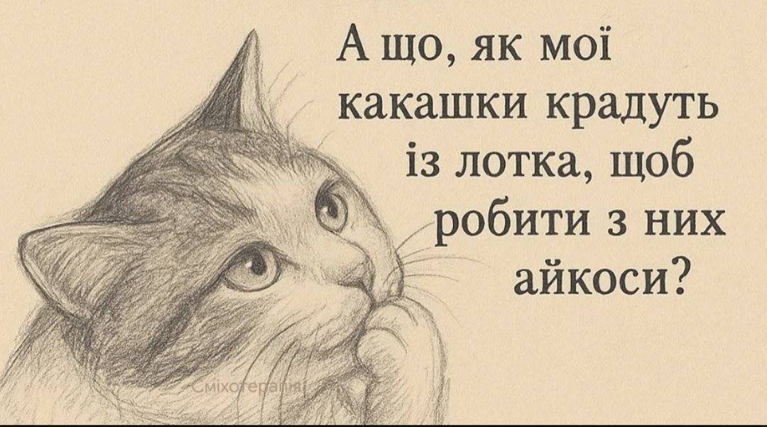 А Moi какашки крадуть AN i3 лотка, щоб 2 в». 3 НИХ айкоси? AN i а