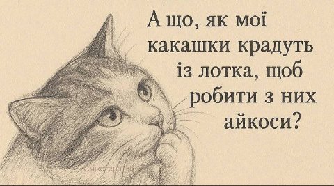 А Moi какашки крадуть AN i3 лотка, щоб 2 в». 3 НИХ айкоси? AN i а