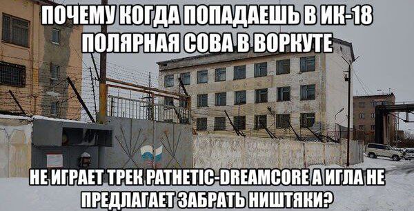 ПОЧЕМУ КОГДА ПОПАДАЕШЬ В ПОЛЯРНАЯ СОВА В НЕ ИГРАЕТ ТРЕН PATHETIC-DREAMCORE A ИГЛА НЕ ПРЕДЛАГАЕТ ЗАБРАТЬ