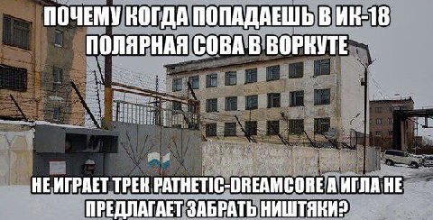 ПОЧЕМУ КОГДА ПОПАДАЕШЬ В ПОЛЯРНАЯ СОВА В НЕ ИГРАЕТ ТРЕН PATHETIC-DREAMCORE A ИГЛА НЕ ПРЕДЛАГАЕТ ЗАБРАТЬ