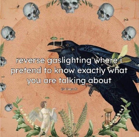reverse gaslighting where pretend to know exactly what you are talking about 1 2