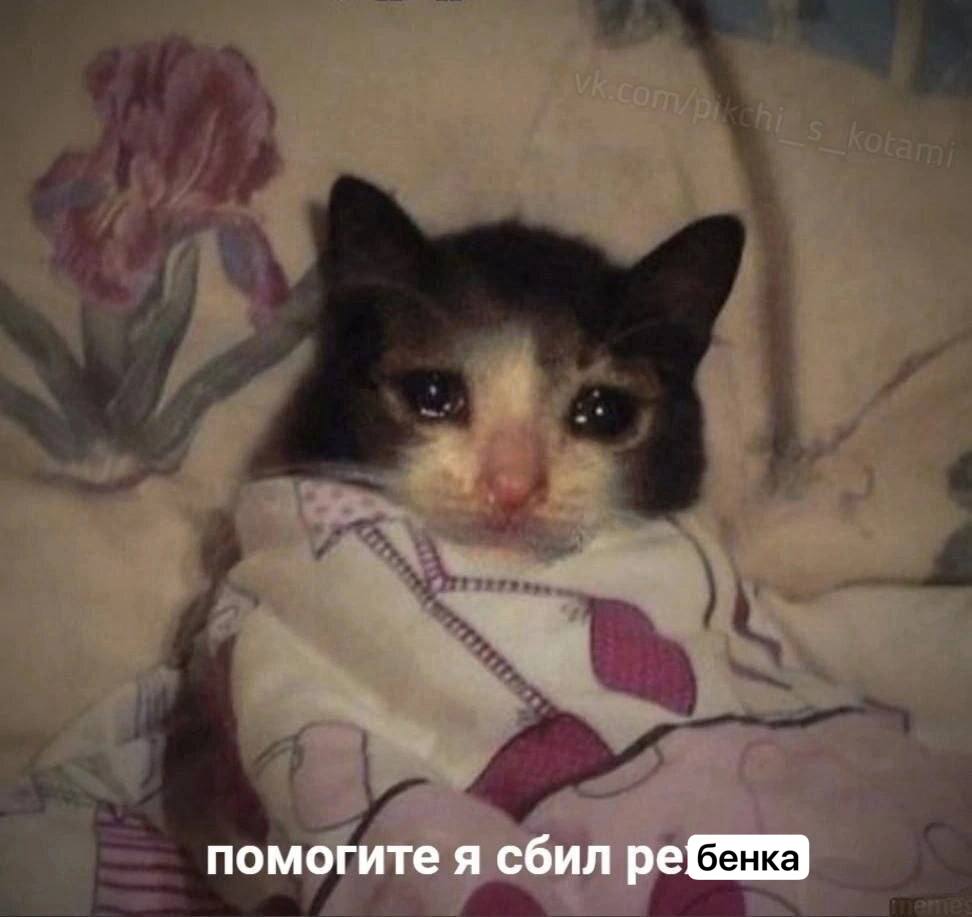 помогите я сбил