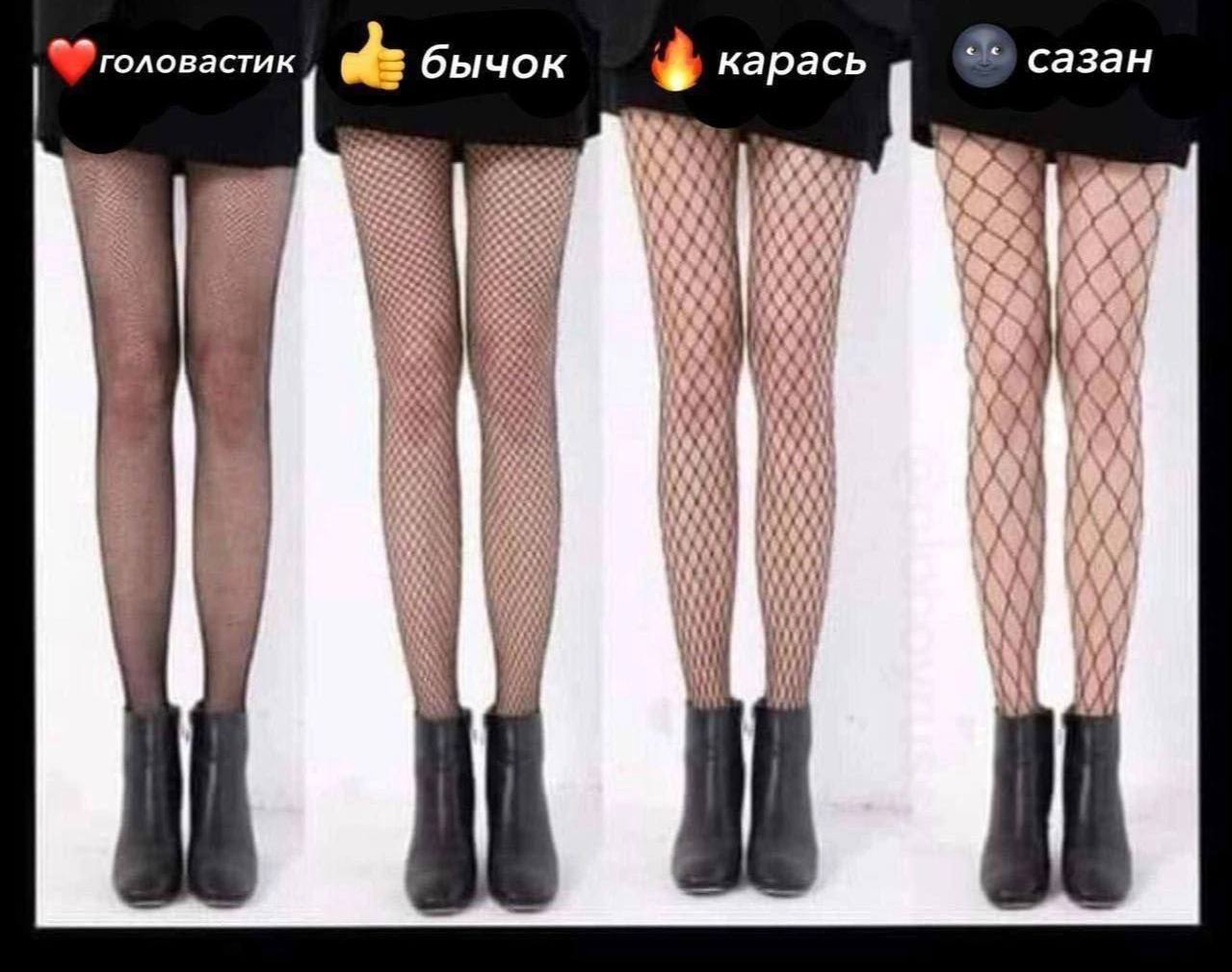 головастик бычок карась сазан у у aN: ete 5 AN i у Bee у AN