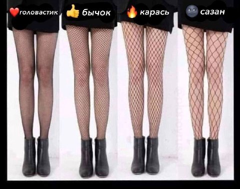 головастик бычок карась сазан у у aN: ete 5 AN i у Bee у AN
