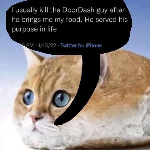 usually kill the DoorDash guy after he brings me my food. He served his purpose in life 1/13/22 Twitter for iPhone