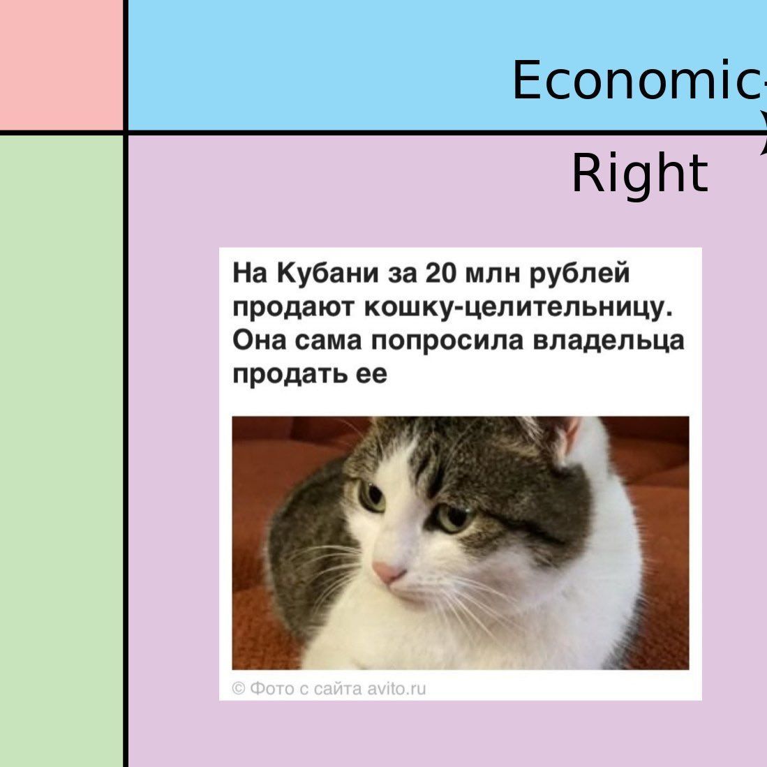 Economic Right На Кубани за 20 млн рублей продают кошку-целительницу. Она сама попросила владельца продать ее