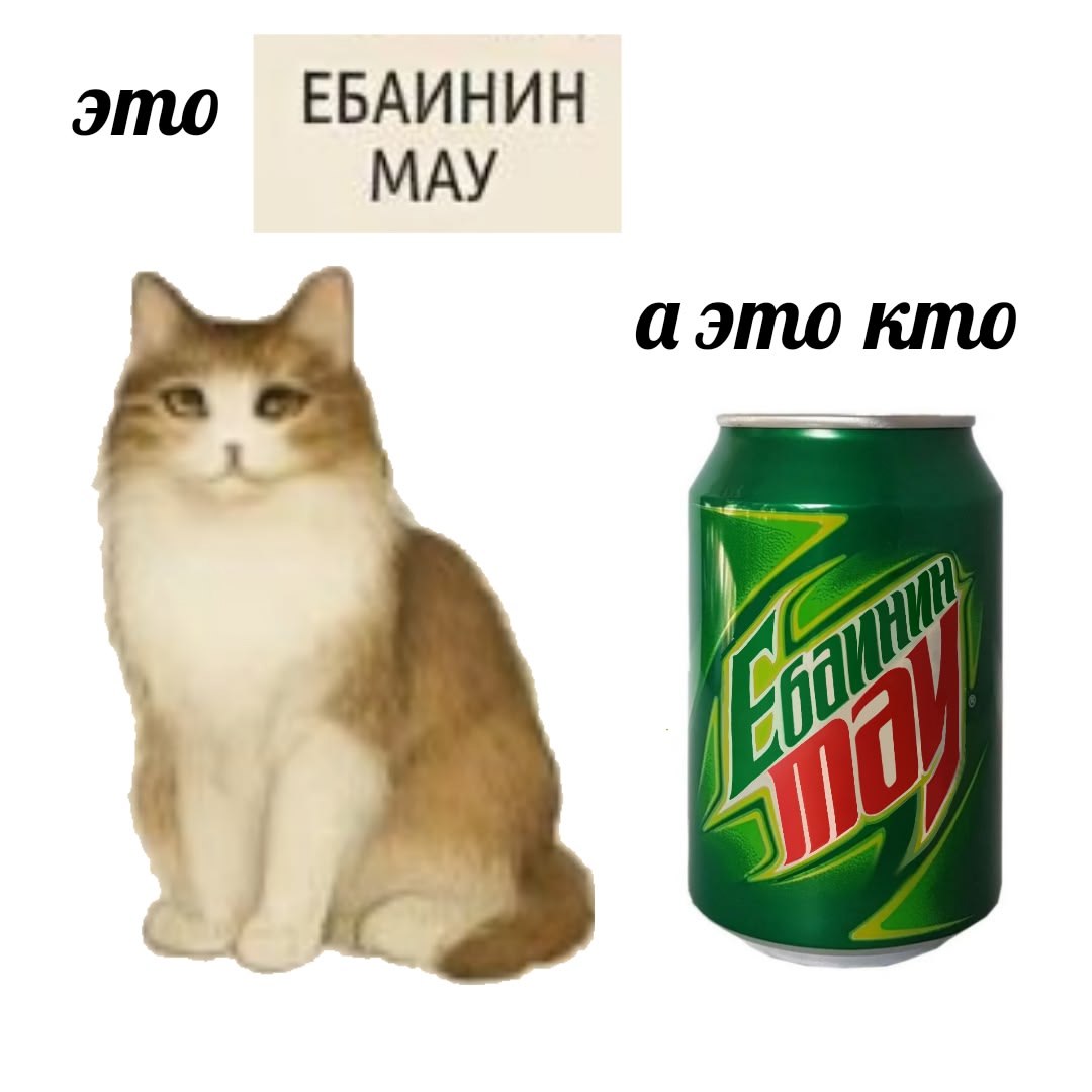 это МАУ аэто кто