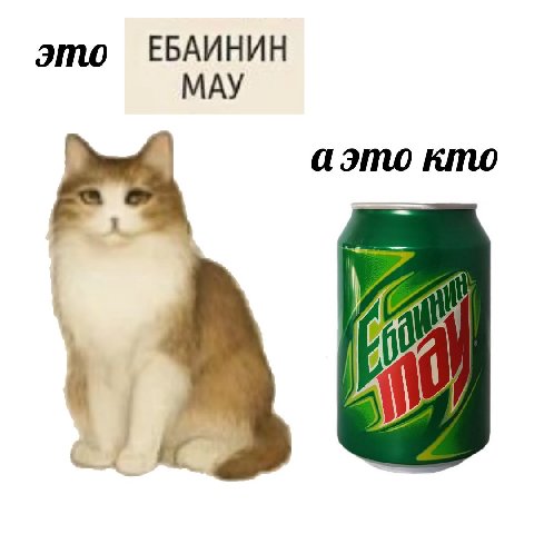 это МАУ аэто кто