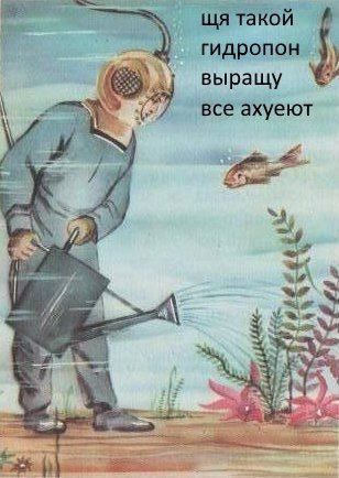 гидропон выращу все ахуеют