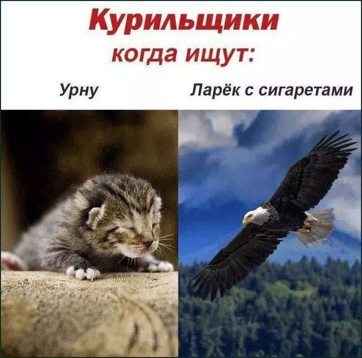 Курильщики когда ищут: Урну Ларёк с сигаретами 4