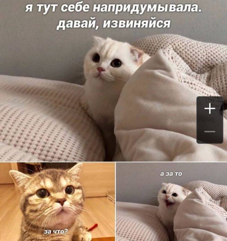 я тут себе напридумывала. давай, извиняйся 4 а за то за что?