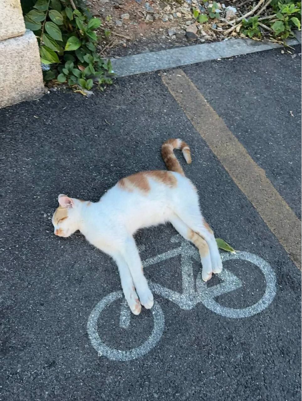 Me у