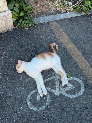 Me у