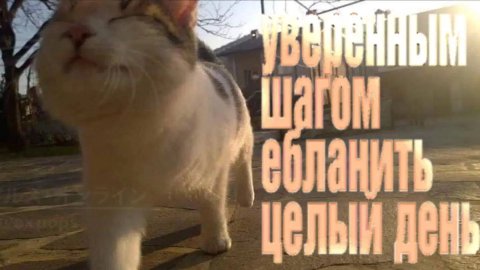 и iil A 4