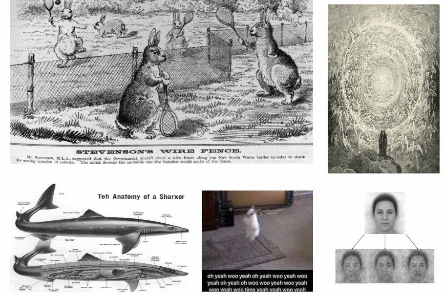 4 as Ris 7 a 7 4 2 75 2 Stevenson that the Government should wire (0550 along our New South Wales border in order to coming invasion of rabbits. The artist depicts the probable ase the would make of t