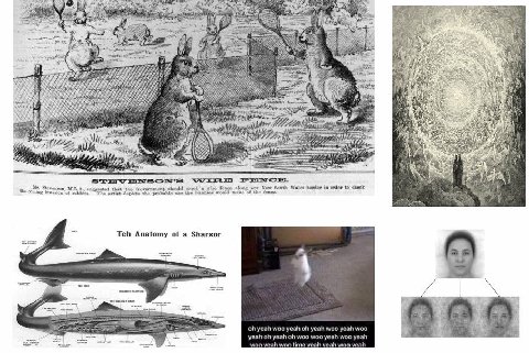 4 as Ris 7 a 7 4 2 75 2 Stevenson that the Government should wire (0550 along our New South Wales border in order to coming invasion of rabbits. The artist depicts the probable ase the would make of t