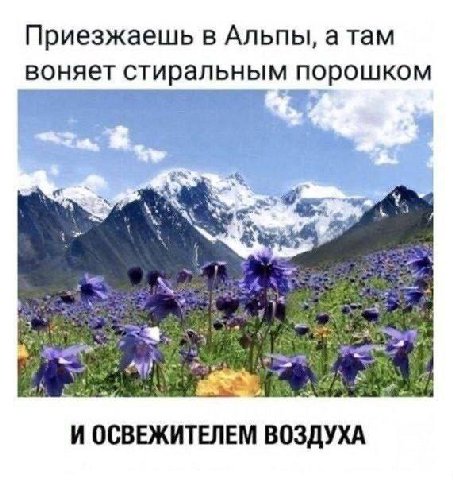 Добро пожаловать в новый учебный год, барбитуриенты