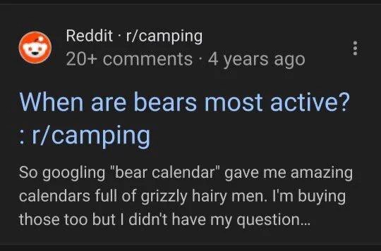 Reddit: г/сатрта When are bears most active? So googling ‘bear calendar’ gave me amazing calendars full of grizzly папу men. buying those too but didn't have my question...
