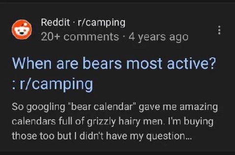 Reddit: г/сатрта When are bears most active? So googling ‘bear calendar’ gave me amazing calendars full of grizzly папу men. buying those too but didn't have my question...