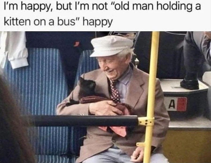 happy, but not “old man holding а kitten on a bus” happy И
