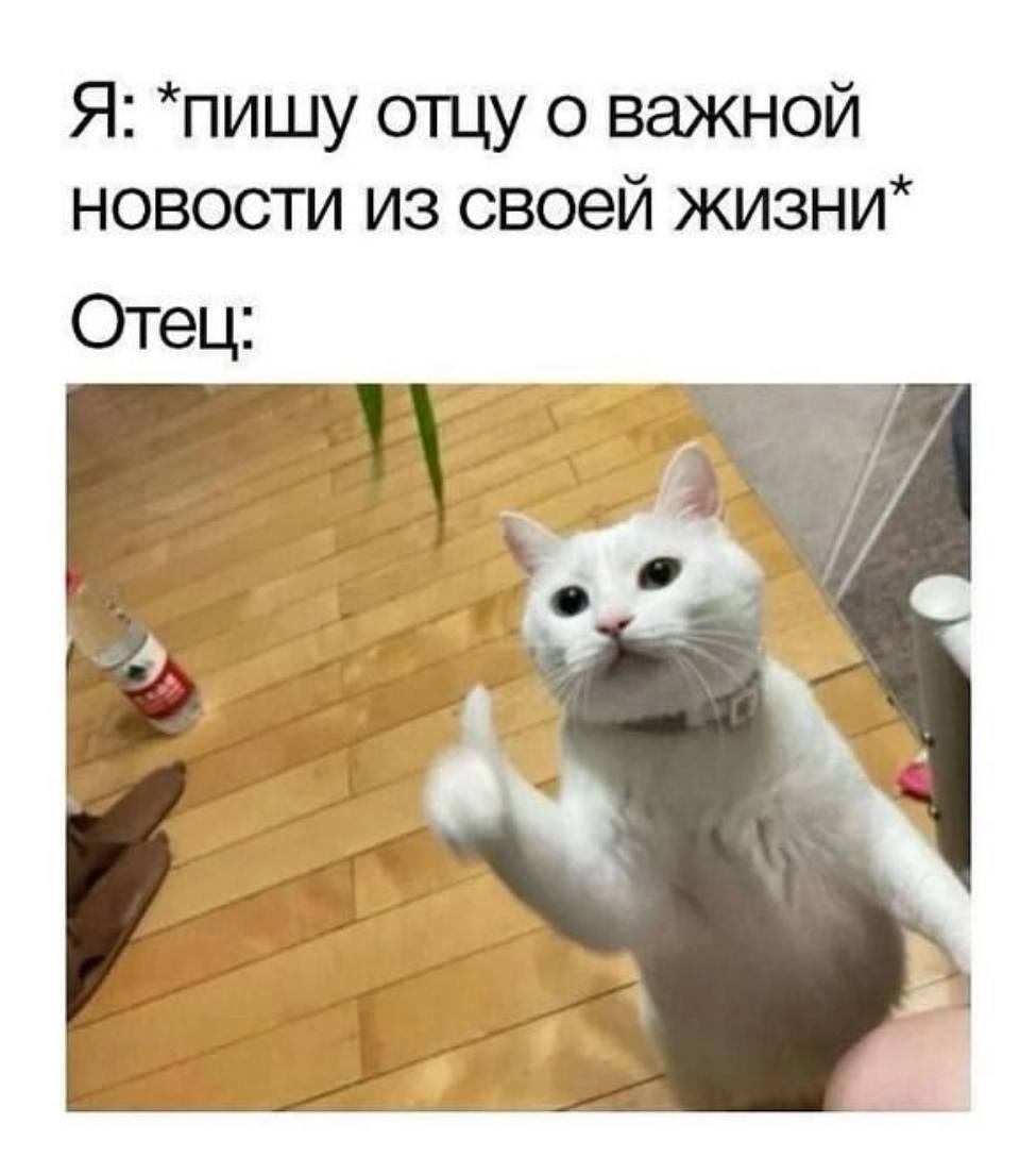 Я: *пишу отцу о важной НОВОСТИ ИЗ своей жизни* Отец: