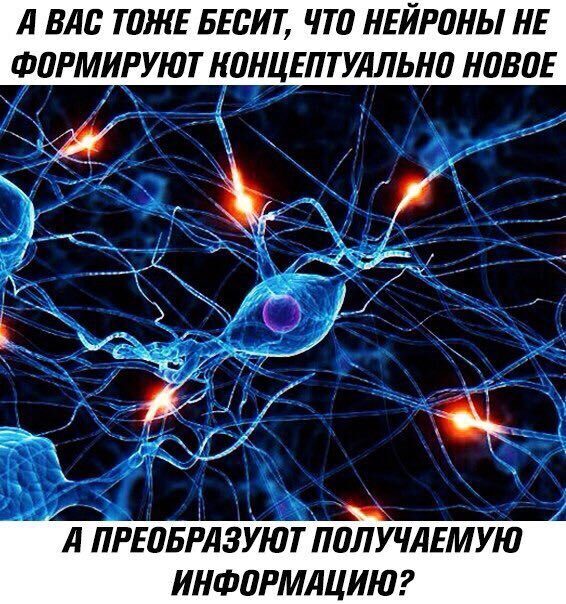 А ВАС ТОЖЕ БЕСИТ, ЧТО НЕЙРОНЫ НЕ ФОРМИРУЮТ КОНЦЕПТУАЛЬНО НОВОЕ ПРЕОБРАЗУЮТ ПОЛУЧАЕМУЮ ИНФОРМАЦИЮ?