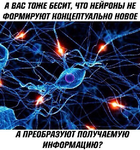 А ВАС ТОЖЕ БЕСИТ, ЧТО НЕЙРОНЫ НЕ ФОРМИРУЮТ КОНЦЕПТУАЛЬНО НОВОЕ ПРЕОБРАЗУЮТ ПОЛУЧАЕМУЮ ИНФОРМАЦИЮ?