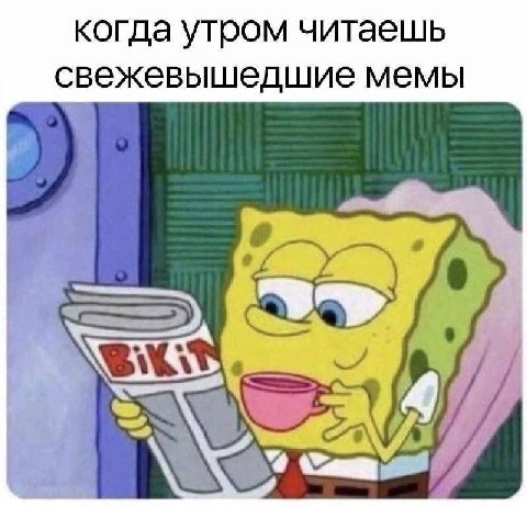 когда утром читаешь свежевышедшие мемы