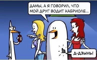 ДАМЫ, А Я ГОВОРИЛ, ЧТО МОЙ ДРУГ ВОДИТ КАБРИОМЕ... у д-дзыны