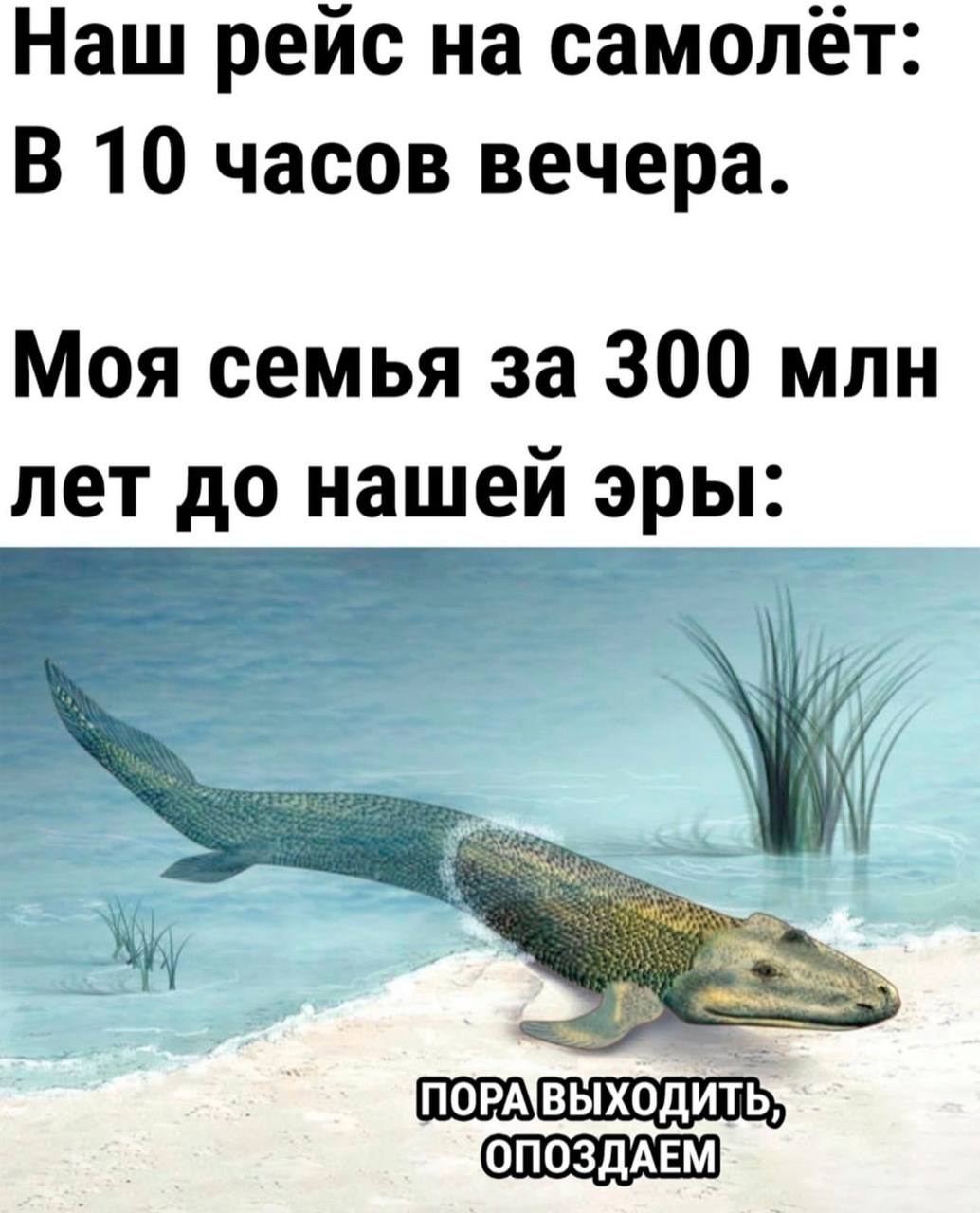 Наш рейс на самолет: В 10 часов вечера. Моя семья за 300 млн лет до нашей эры: