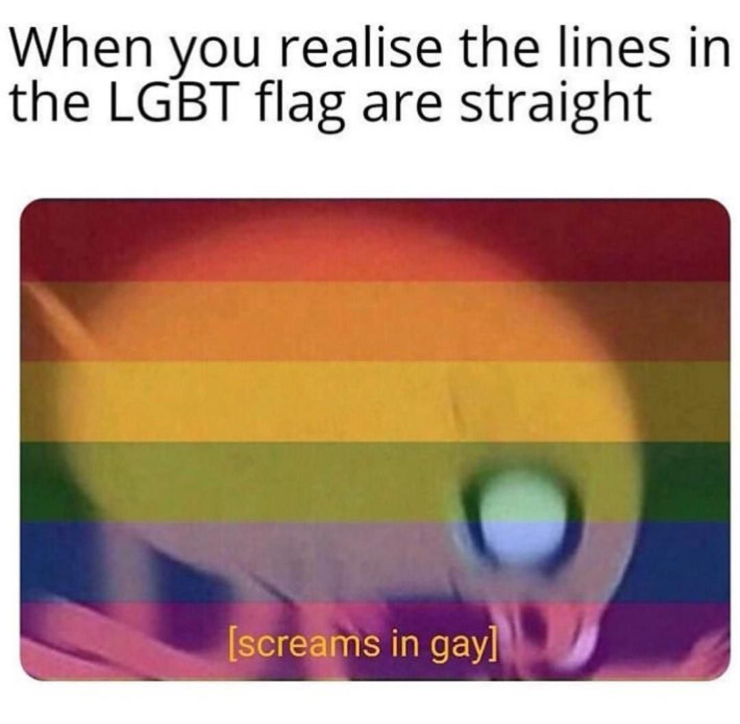 When you realise lines in the LGBT flag are straight in gay] Я