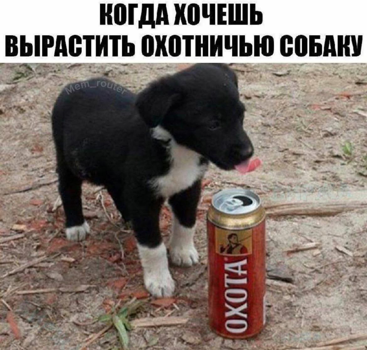 КОГДА ХОЧЕШЬ ВЫРАСТИТЬ ОХОТНИЧЬЮ СОБАКУ at 4 spr,