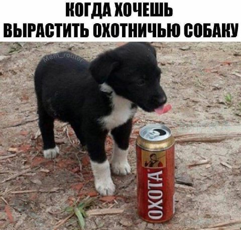 КОГДА ХОЧЕШЬ ВЫРАСТИТЬ ОХОТНИЧЬЮ СОБАКУ at 4 spr,