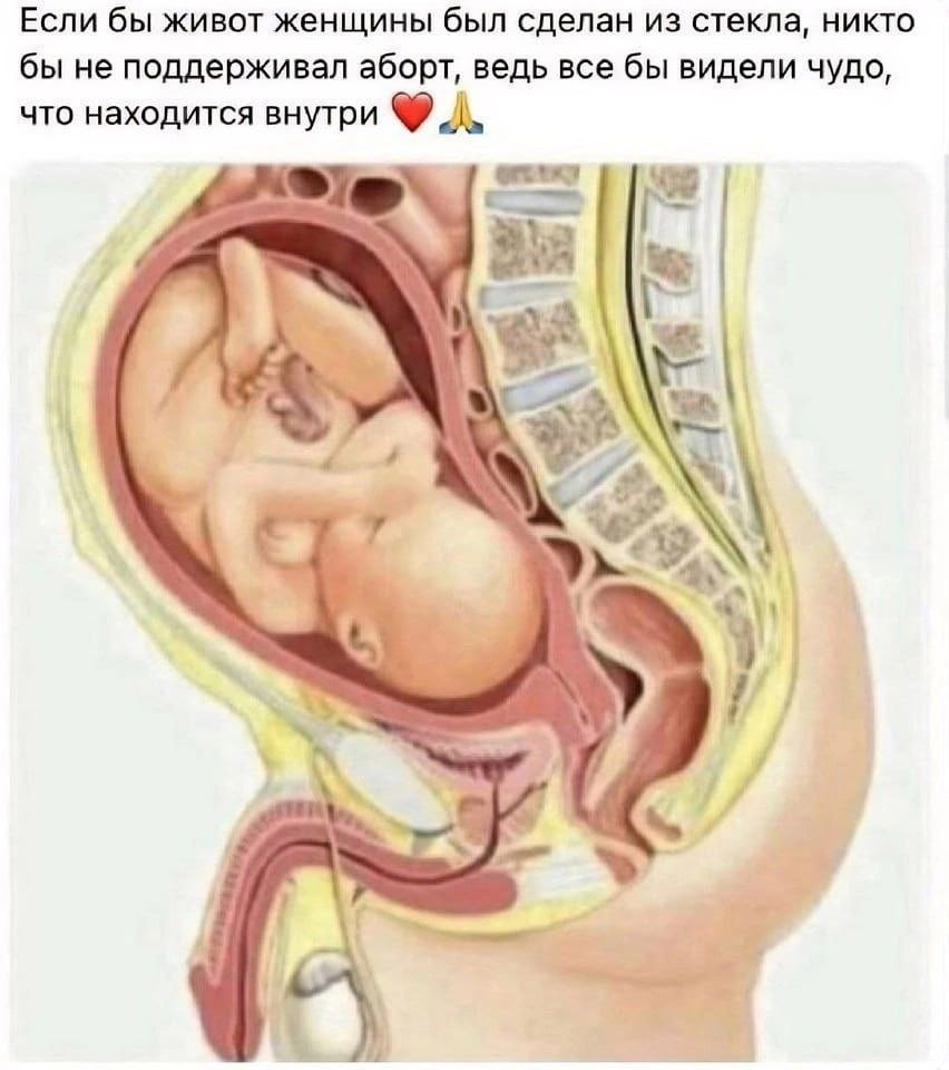 Если бы живот женщины был сделан из стекла, никто бы не поддерживал аборт, ведь все бы видели чудо, что находится внутри у