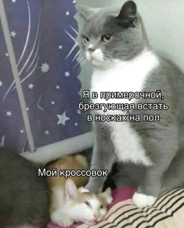 Явшримерочной брезвующая встать в носках. на пол Мой кроссовок