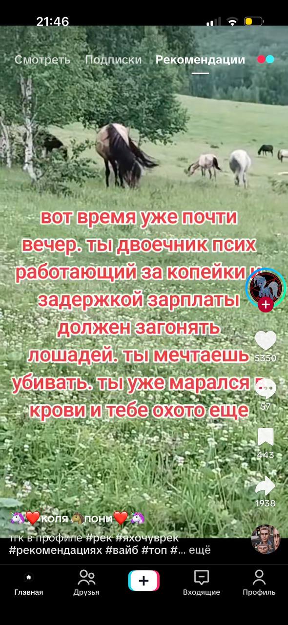 21:46 Смотреть Подписки Рекомендации aN: Omg ics абота we ДОЛ жен заго ошаде мечтаеш Mal ался ane охото 4 5$ a Ney: we 1958 a 4 тгк В Нрекомендациях #вайб #топ еще О я Главная Друзья Входящие Профиль