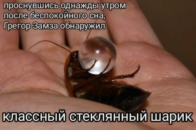 проснувшись однажды утром после беспокойного сна, Грегор Замза обнаружил 4 классный стеклянный шарик
