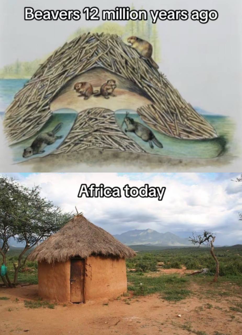 2 million years ago 7 ANS 7. LEE 27