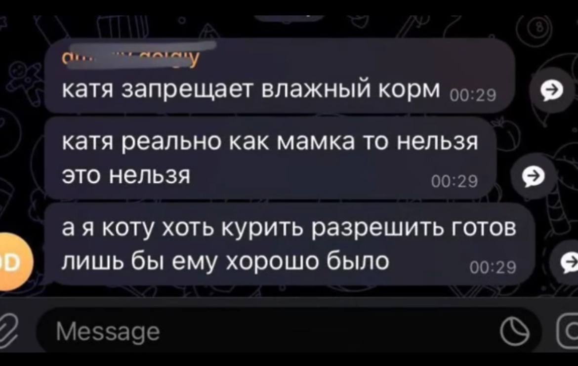 катя запрещает влажный корм катя реально как мамка то нельзя это нельзя 00:29 коту хоть курить разрешить готов лишь бы ему хорошо было 00:29 Message