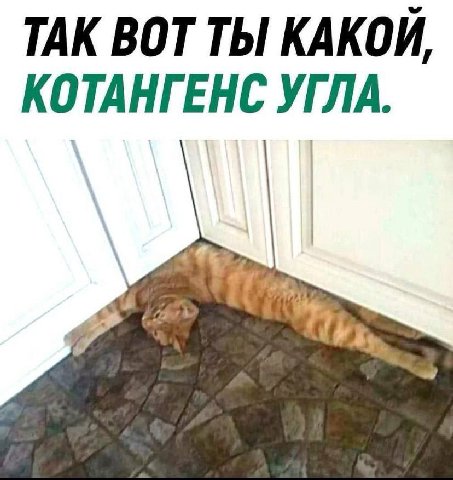 ТАК ВОТ ТЫ КАКОЙ, КОТАНГЕНС УГЛА.