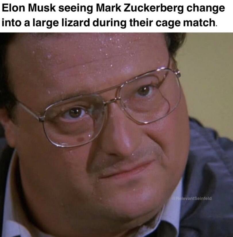 Elon Musk seeing Mark Zuckerberg change into a large lizard during their cage match.