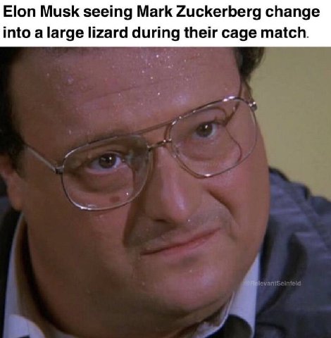Elon Musk seeing Mark Zuckerberg change into a large lizard during their cage match.