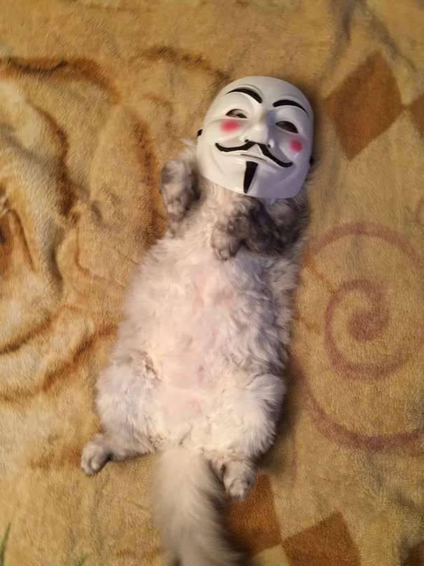 у