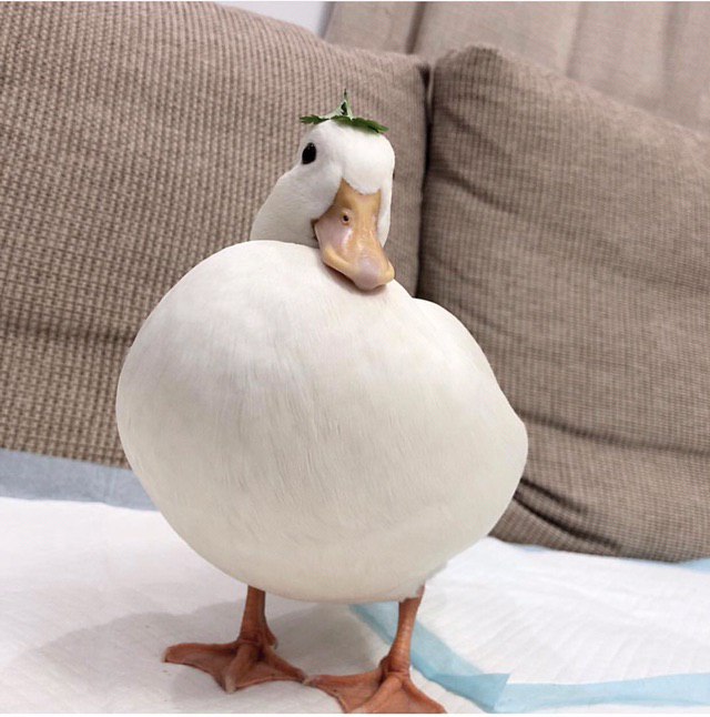 my type